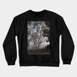 Gum tree in the mist Crewneck Sweatshirt